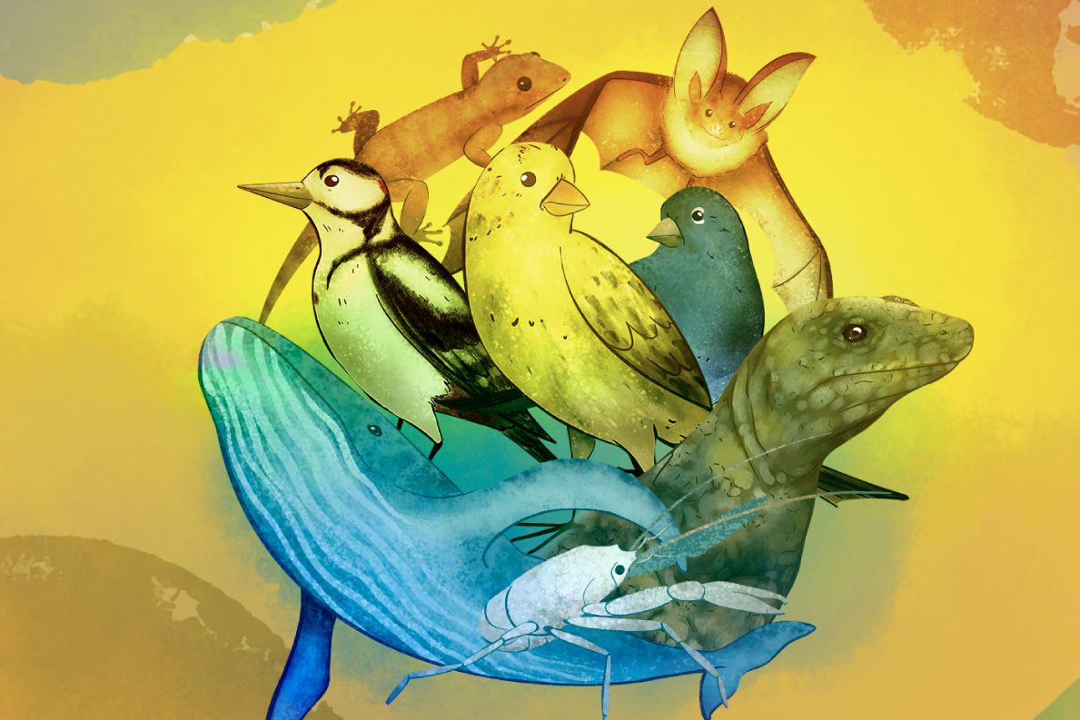 Cartel del evento «El carnaval de los animales… también de Canarias»